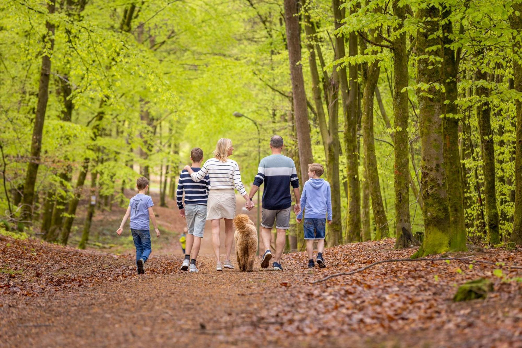 Ardennen Camping Bertrix Ngoại thất bức ảnh