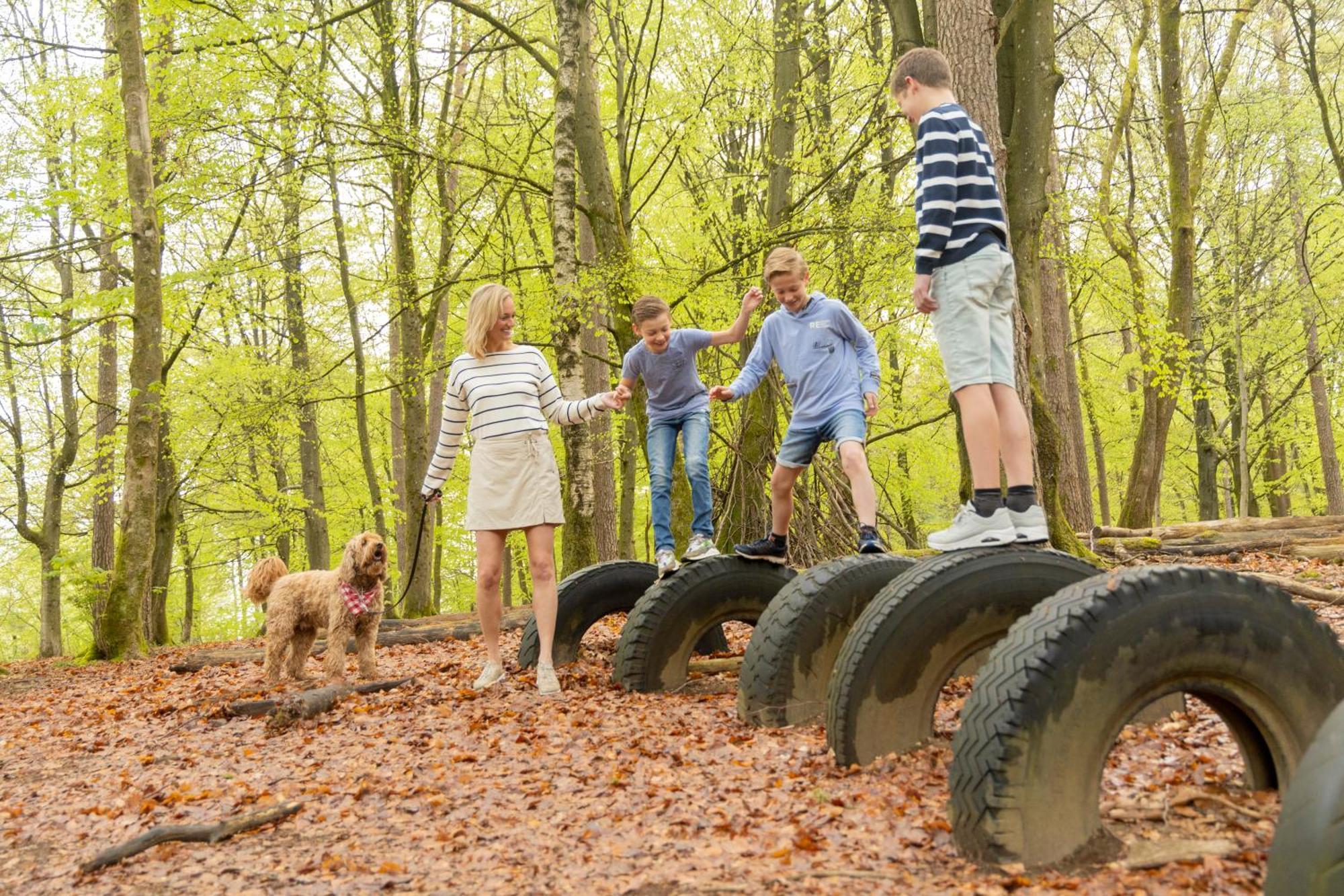 Ardennen Camping Bertrix Ngoại thất bức ảnh